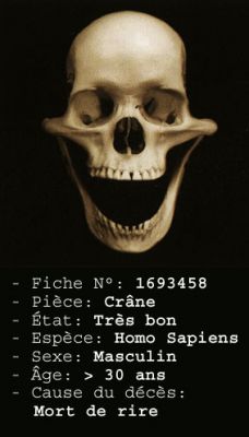 Histoires de Belges